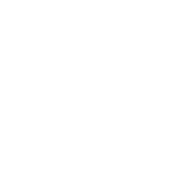 life-assure-foundation-widget-logo